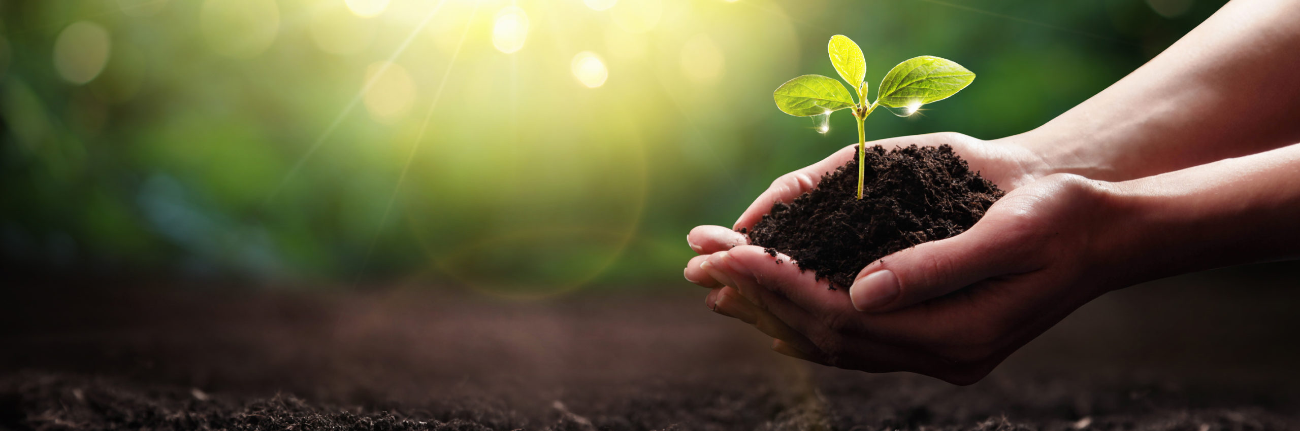 Hintergrundbild der Veranstaltungen